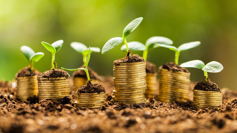 農產品短視頻營銷