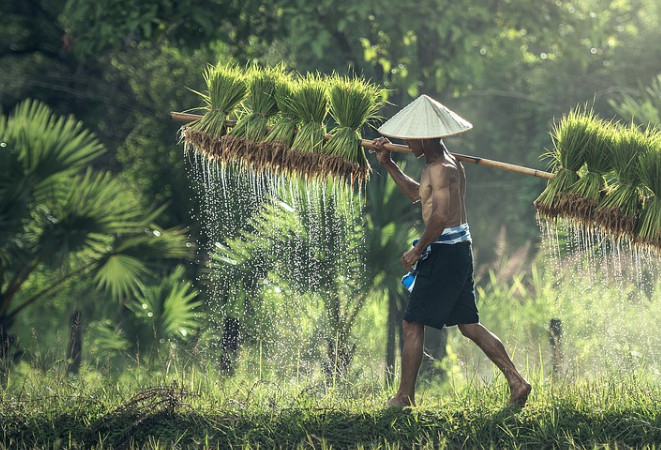 農產品電商帶貨短視頻營銷