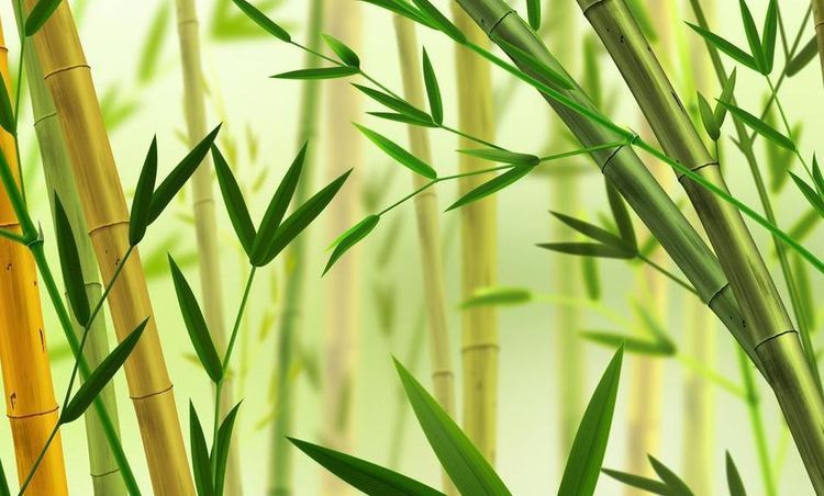 加入電商代運(yùn)營的原因是