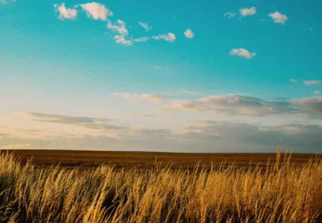 上海短視頻代運營公司如何構建私域流量 上海短視頻代運營公司如何構建私域流量