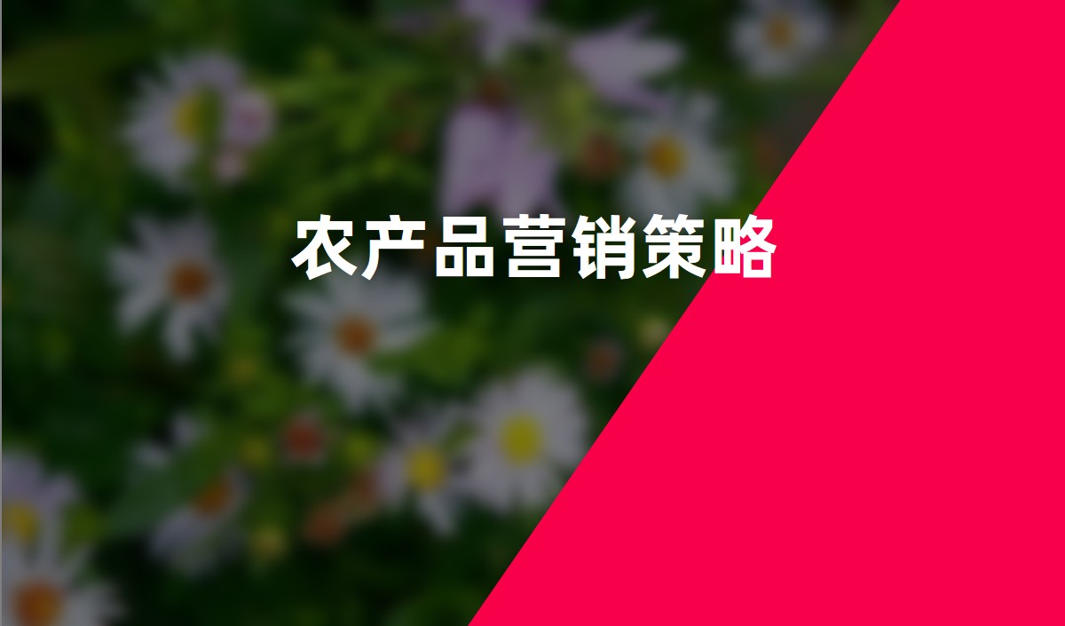 景區營銷策劃方案