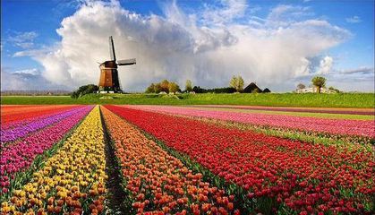 要想做成功農業品牌策劃：這三項重要內容不能忽略