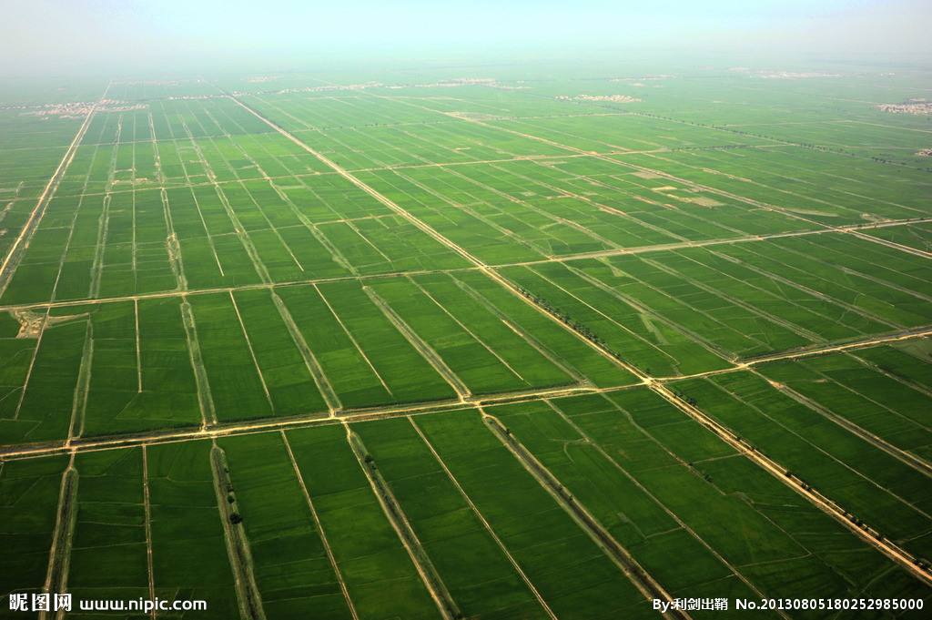 農業品牌策劃應該怎么做