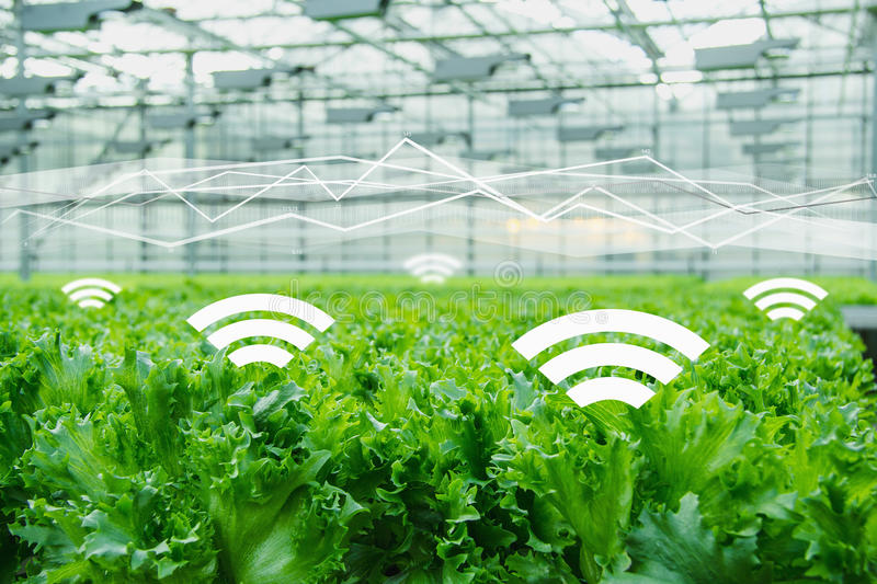 互聯網農業品牌定位應該找哪些人來做？