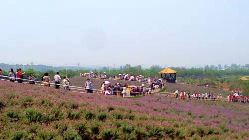 農業品牌策劃能給公司帶來什么利益呢？