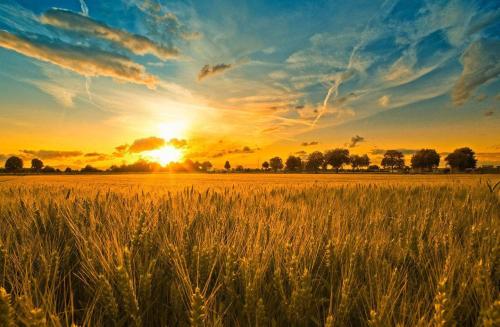 品牌定位，農業(yè)品牌定位