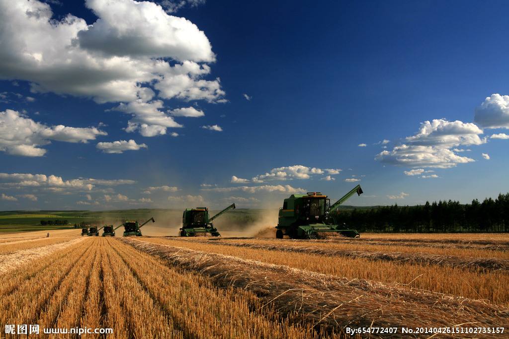 農業(yè)品牌策劃