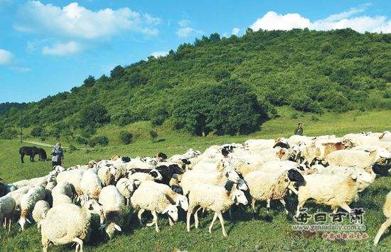 農業品牌策劃,農業品牌策劃公司