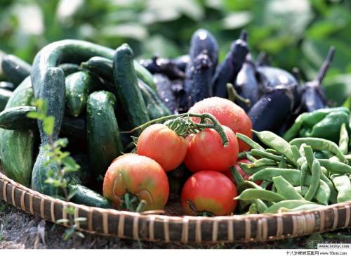 農產(chǎn)品品牌策劃