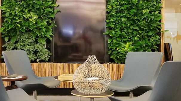 綠植租賃7.jpg 綠植租賃