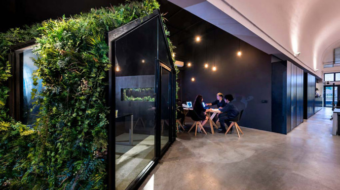 綠植租賃3.jpg 綠植租賃