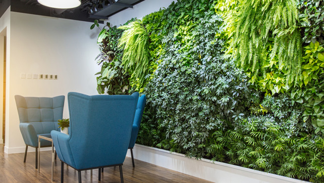 綠植租賃4.jpg 綠植租賃