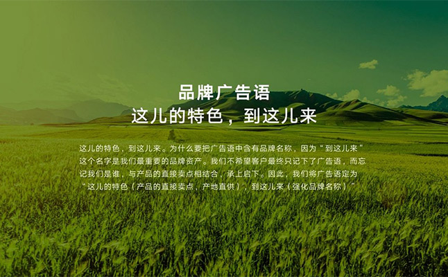 農(nóng)業(yè)品牌策劃推動(dòng)農(nóng)業(yè)品牌發(fā)展 農(nóng)業(yè)品牌策劃推動(dòng)農(nóng)業(yè)品牌發(fā)展