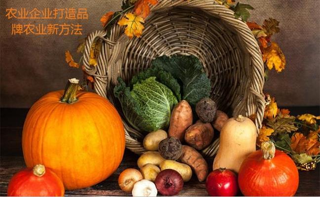 農(nóng)業(yè)企業(yè)打造品牌農(nóng)業(yè)新方法 農(nóng)業(yè)企業(yè)打造品牌農(nóng)業(yè)新方法
