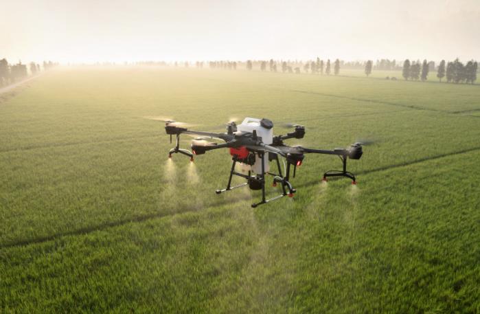 農業發展戰略策劃 農產品品牌策劃設計公司 農業發展戰略策劃 農產品品牌策劃設計公司