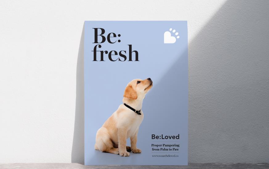 打造寵物護理品牌 打造寵物護理品牌