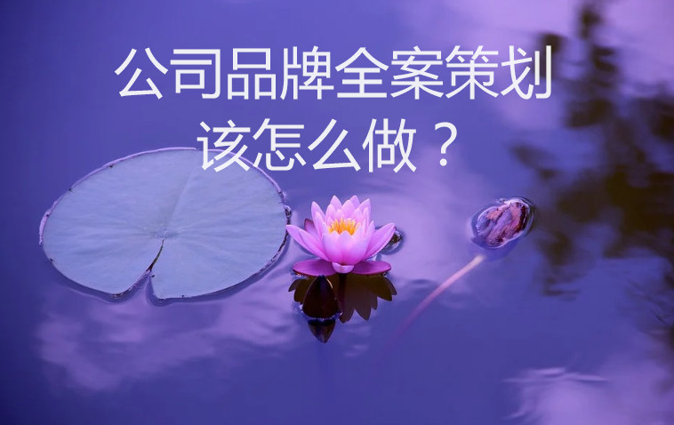 公司品牌全案策劃該怎么做? 公司品牌全案策劃該怎么做?