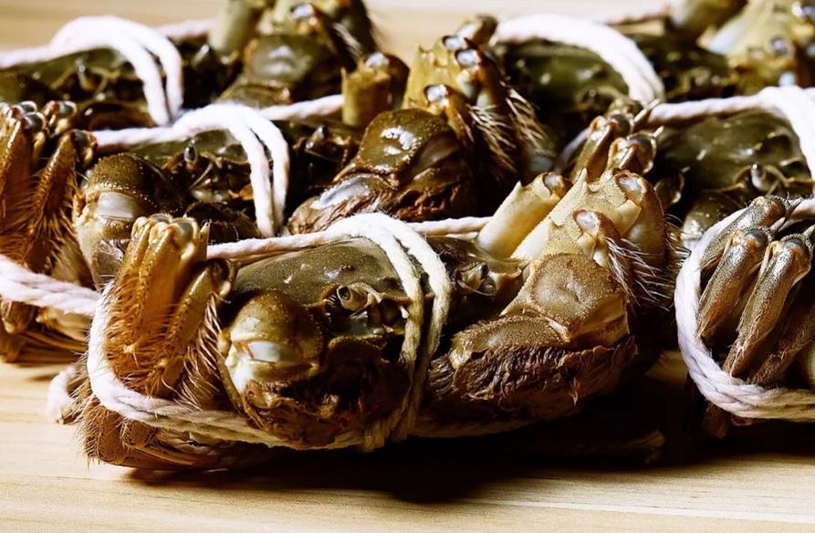 陽澄湖大閘蟹品牌全案策劃 陽澄湖大閘蟹品牌全案策劃