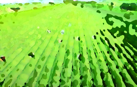 農業品牌提升機構，促進農業農村經濟轉型