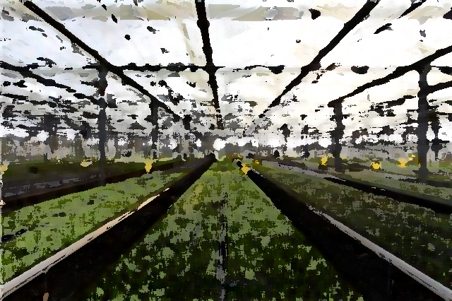 農業企業品牌提升 推進農業品牌工作