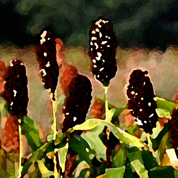 農業老品牌提升，讓品牌強起來