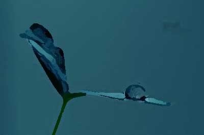 餐飲品牌設計的突破點有哪些？