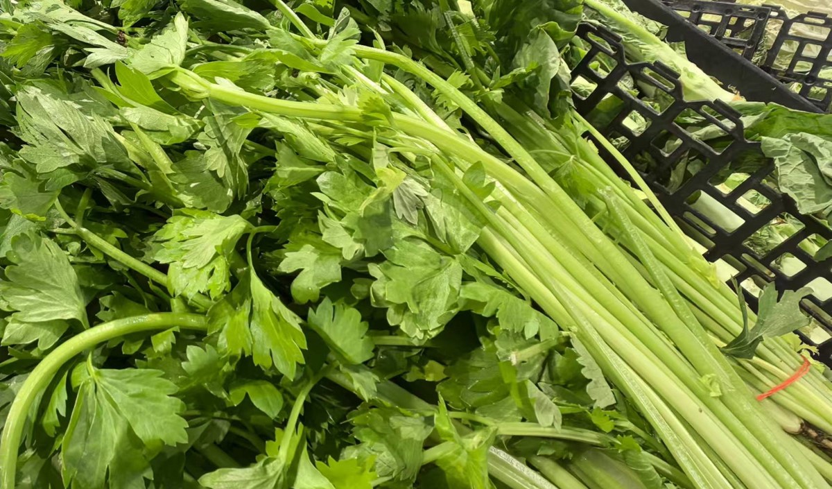 蔬菜農產品如何制定品牌定位戰略-農業定位公司