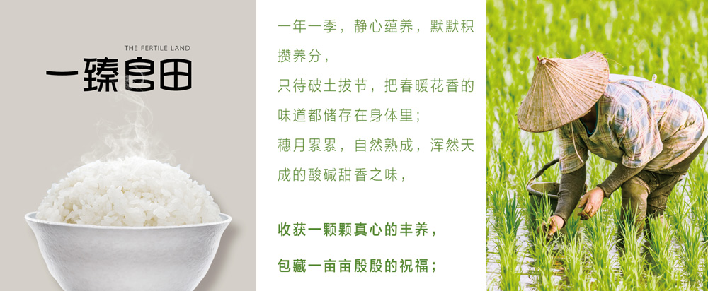 一甄良田大米認養模式策劃_大米品牌全案策劃 - 上海美御