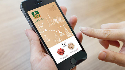 農業品牌策劃,農產品品牌設計