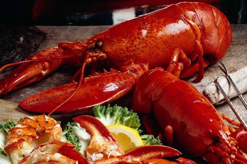 上海餐飲設計公司 您的最佳餐飲創業伴侶 上海餐飲設計公司 您的最佳餐飲創業伴侶