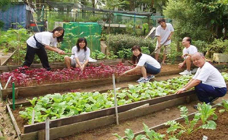 都市品牌農業 都市品牌農業