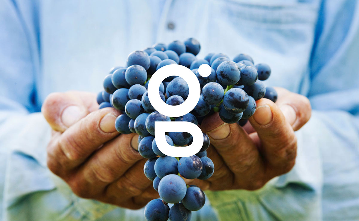 農業(yè)品牌設計 農業(yè)品牌設計