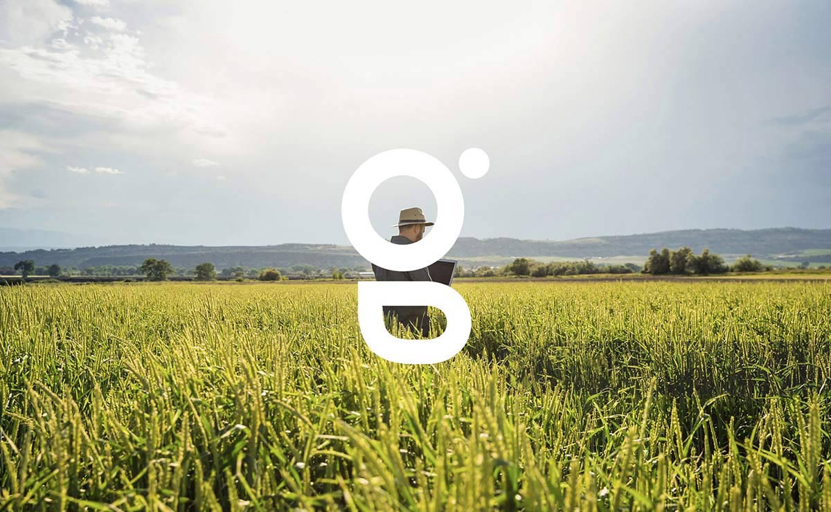 農業(yè)品牌VI設計 農業(yè)品牌VI設計