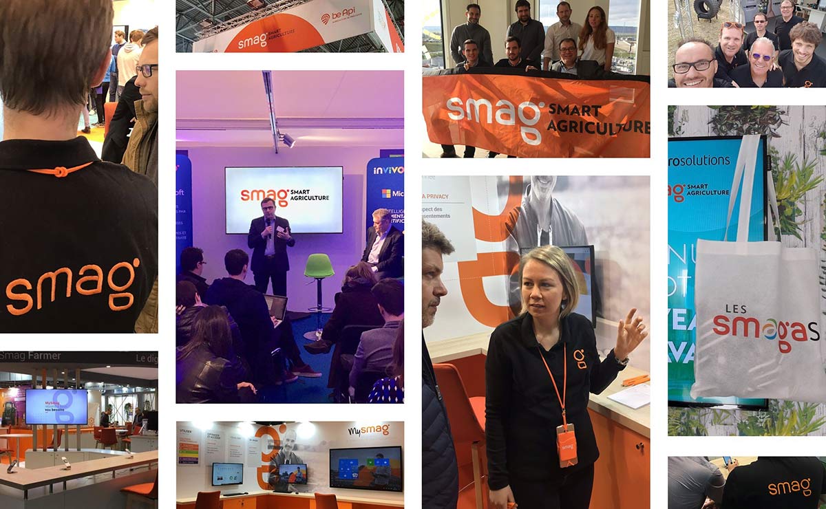 農業(yè)品牌設計 農業(yè)品牌設計