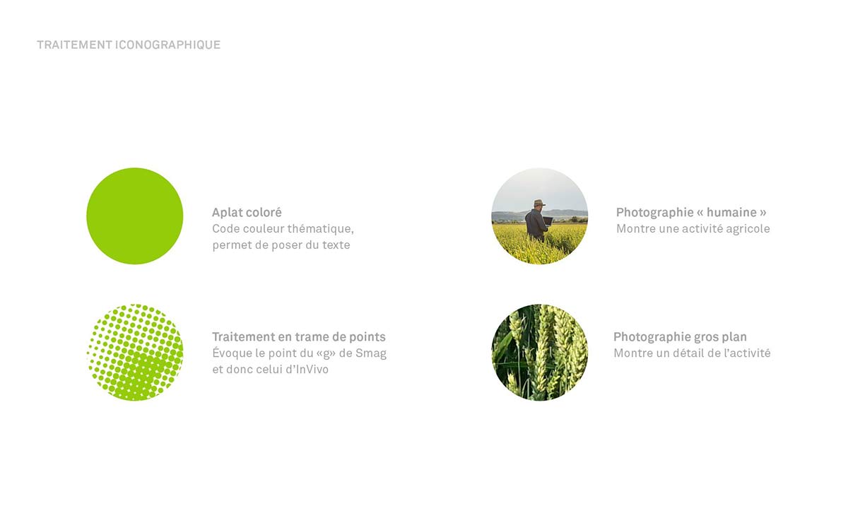 農業(yè)品牌VI設計 農業(yè)品牌vi設計