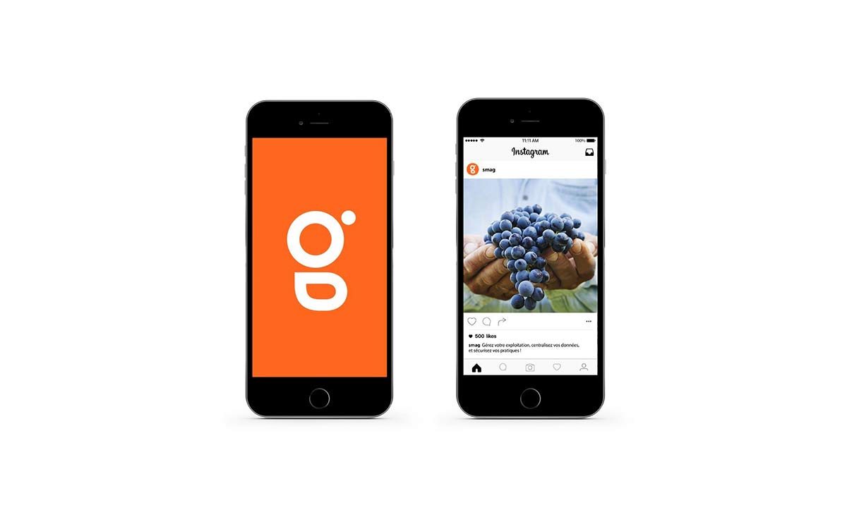 農業(yè)品牌VI設計 農業(yè)品牌VI設計