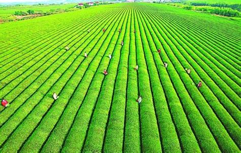 DgXqCTyUQ1yHn-dIDqXIDg.jpg DgXqCTyUQ1yHn-dIDqXIDg.jpg