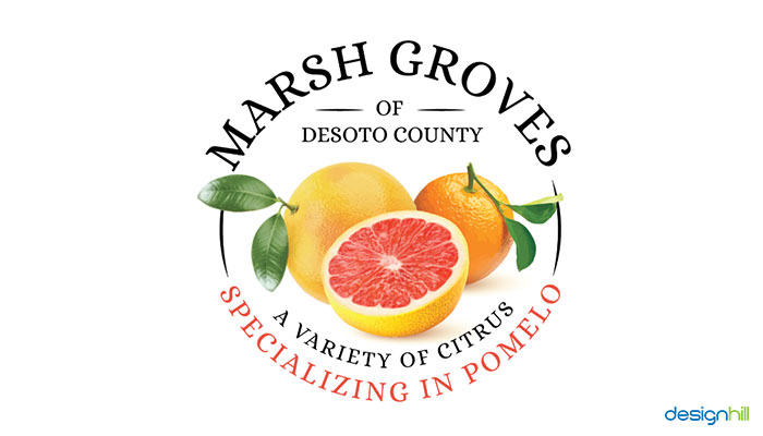 農(nóng)業(yè)品牌建設(shè) 農(nóng)業(yè)品牌建設(shè)