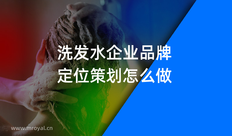 洗發水企業品牌定位策劃怎么做