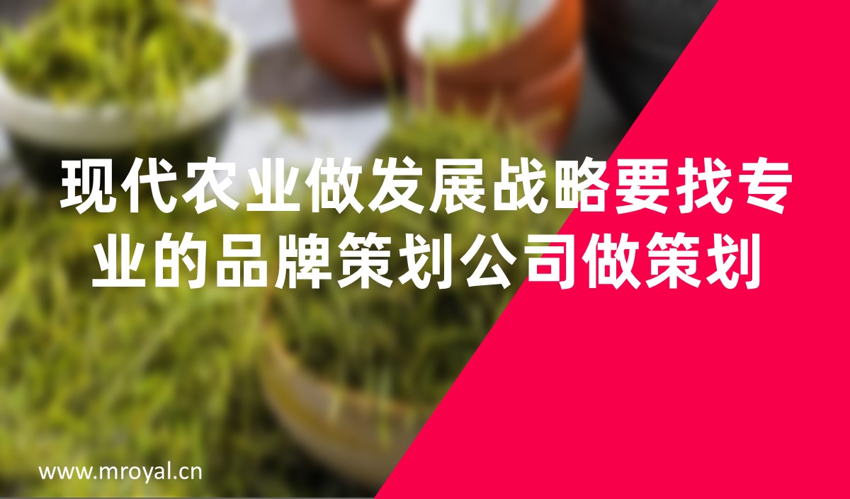 現代農業做發展戰略要找專業的品牌策劃公司做策劃