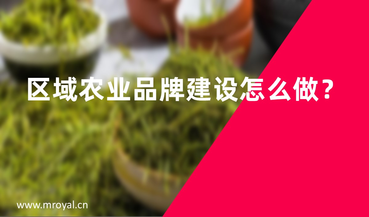 區域農業品牌建設怎么做？