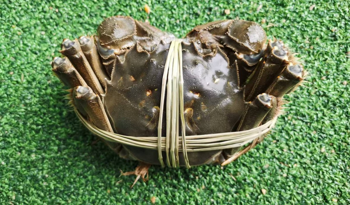 中秋節前的大閘蟹品牌營銷策劃方案 中秋節前的大閘蟹品牌營銷策劃方案