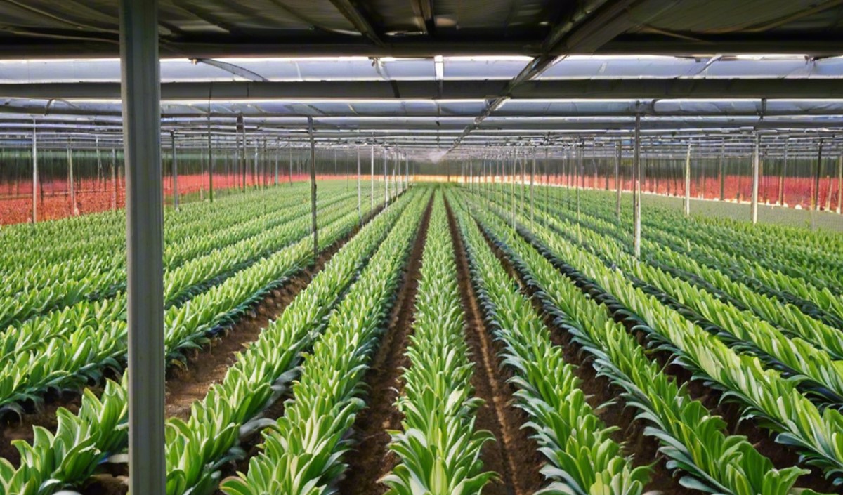 品牌全案策劃公司是怎么打造數字化農業品牌