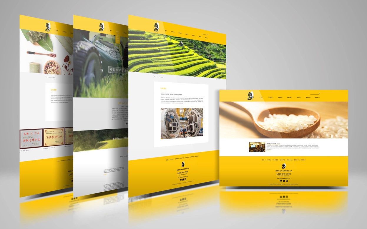 大米行業(yè)趨勢與新品牌策劃策略