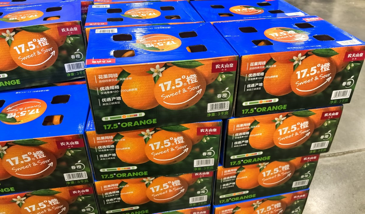 春橙產業升級2025年春橙品牌策劃深度策略分析